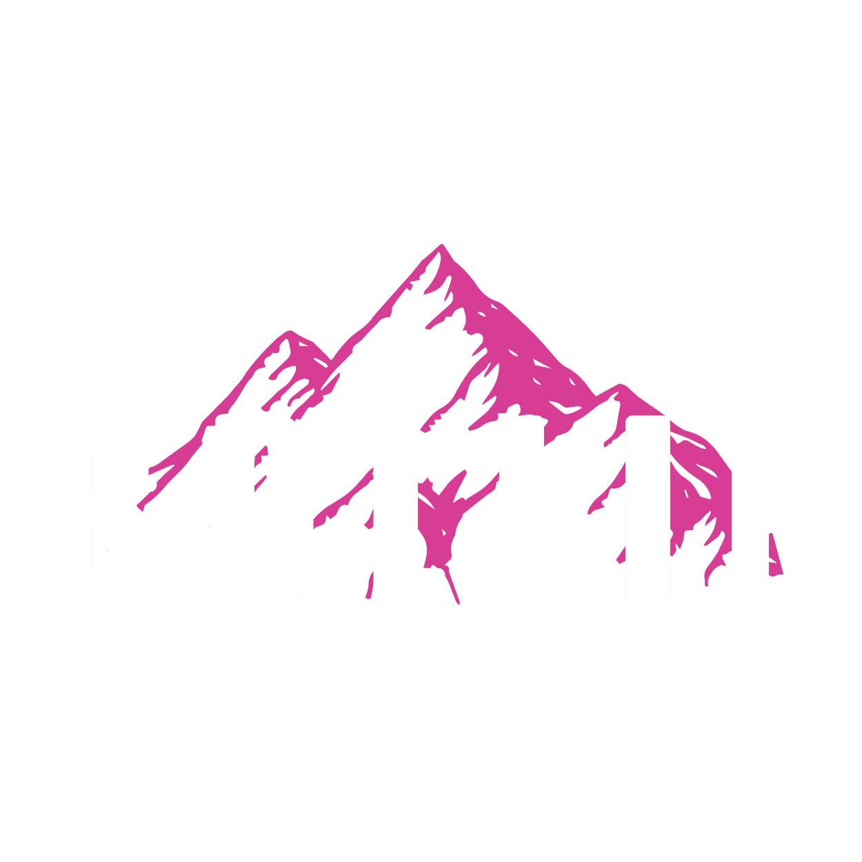 Le Bollin